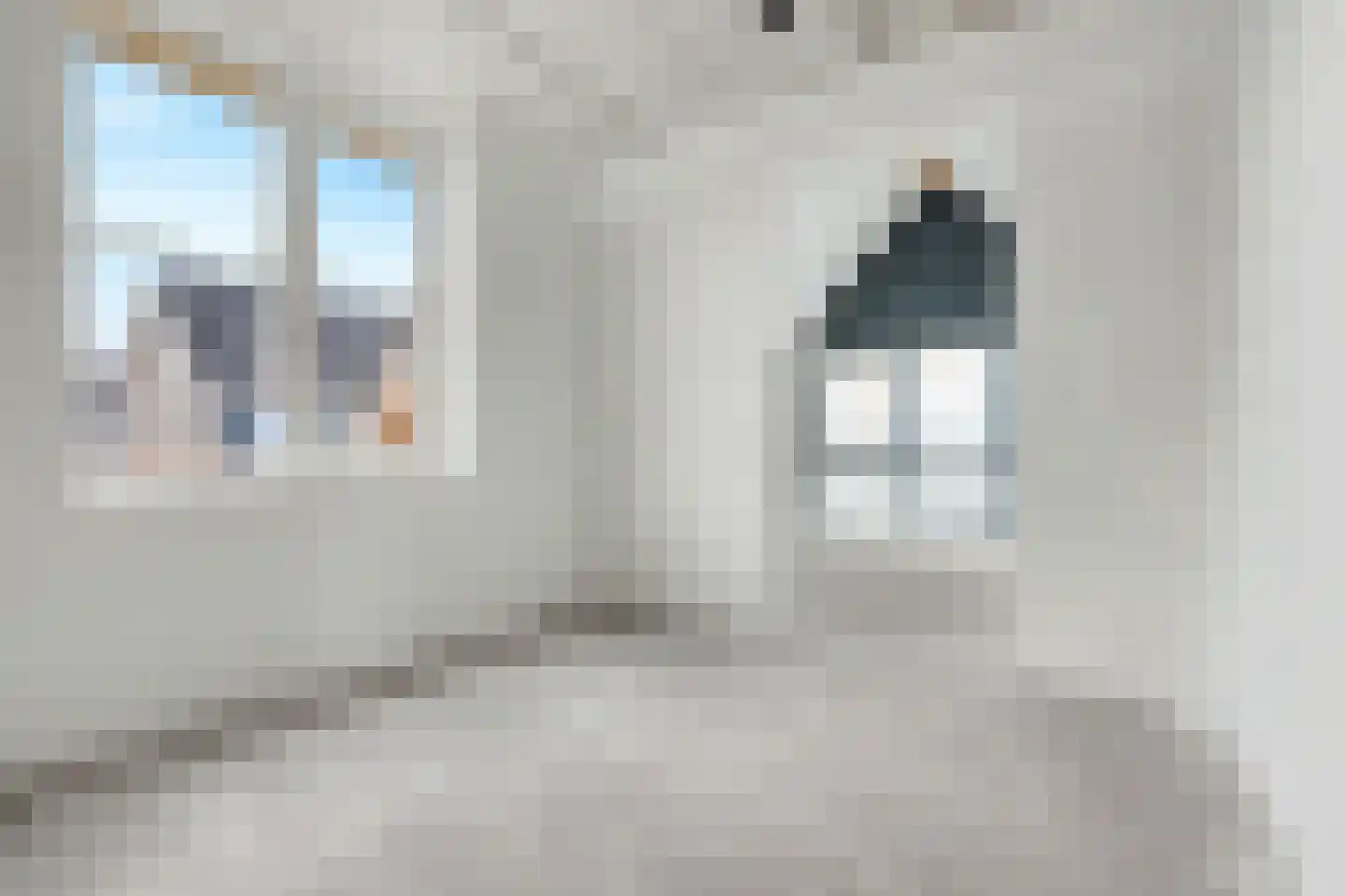 Broodakkerbrink 2 Harderwijk thumbnail 20