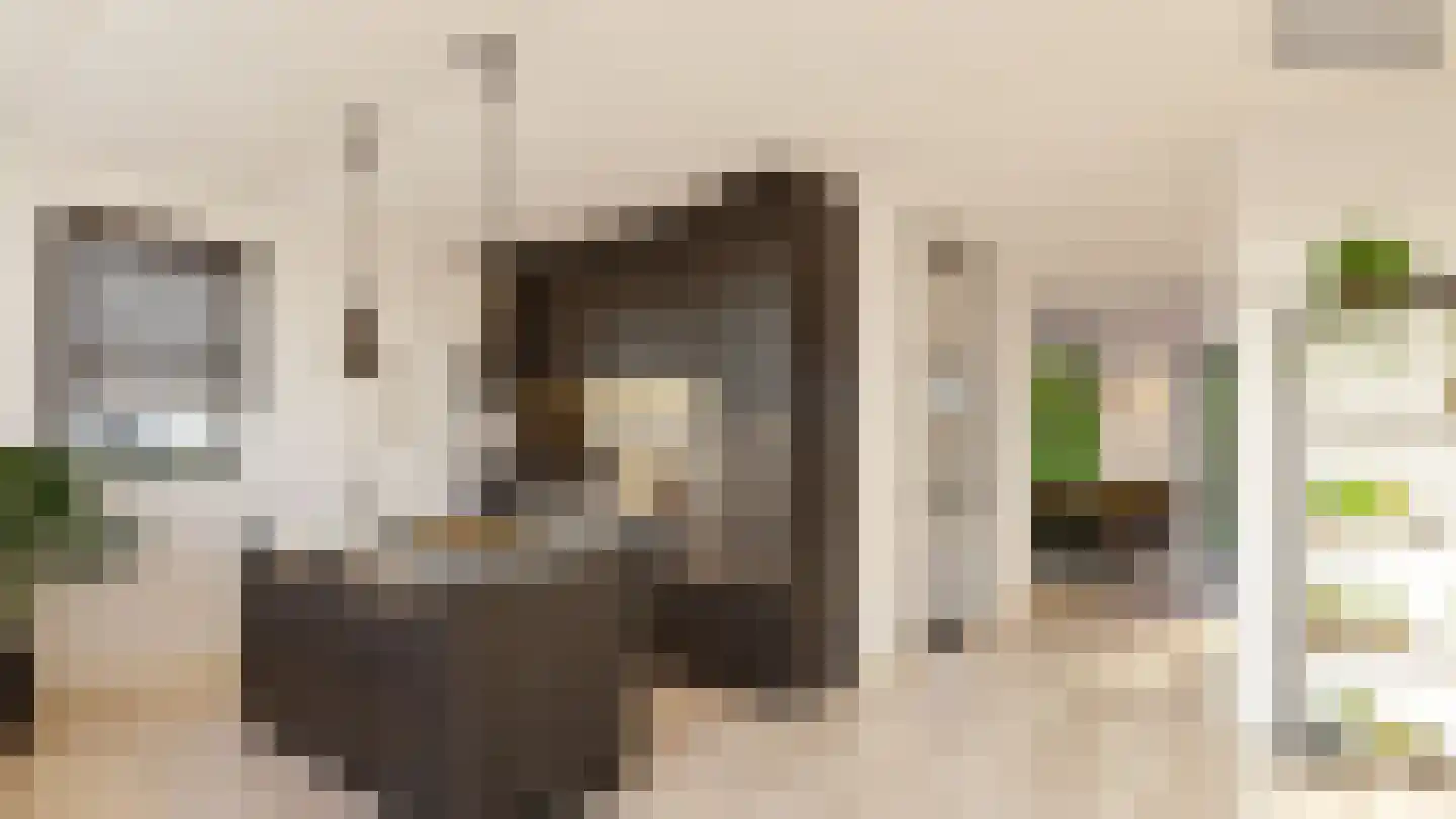 Broodakkerbrink 2 Harderwijk thumbnail 31