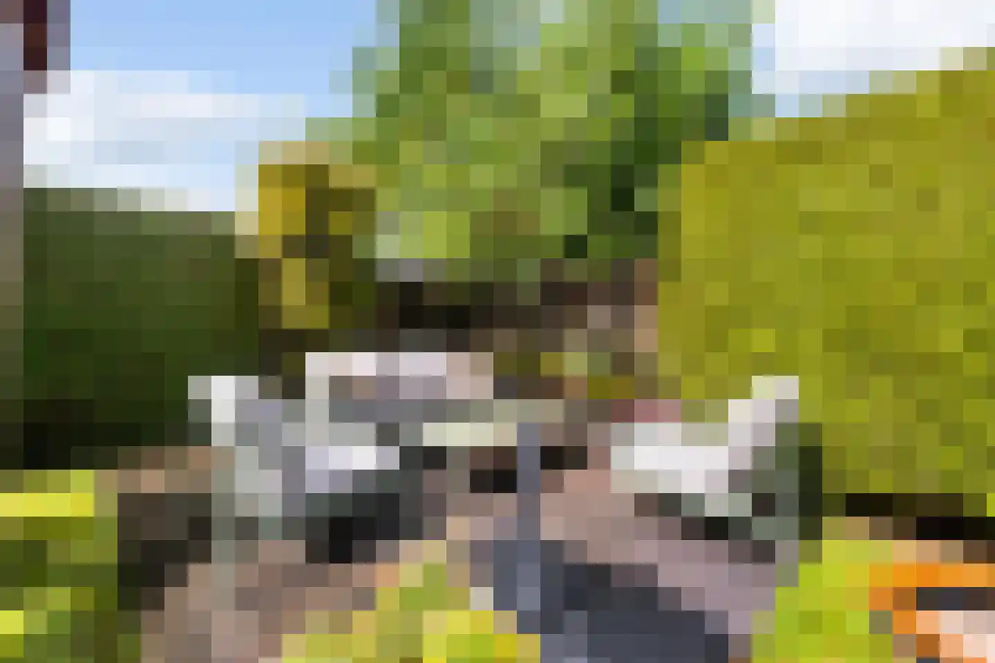 Broodbakkersgilde 1 A Dronten thumbnail 28