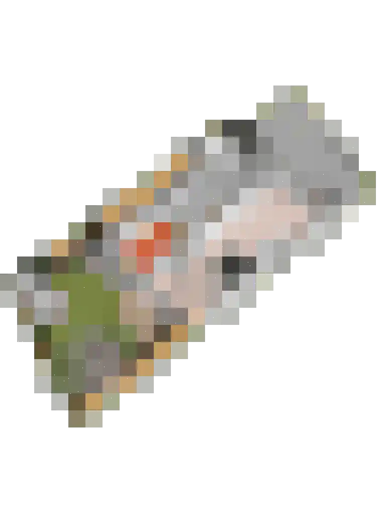 Broodbakkersgilde 1 A Dronten thumbnail 36