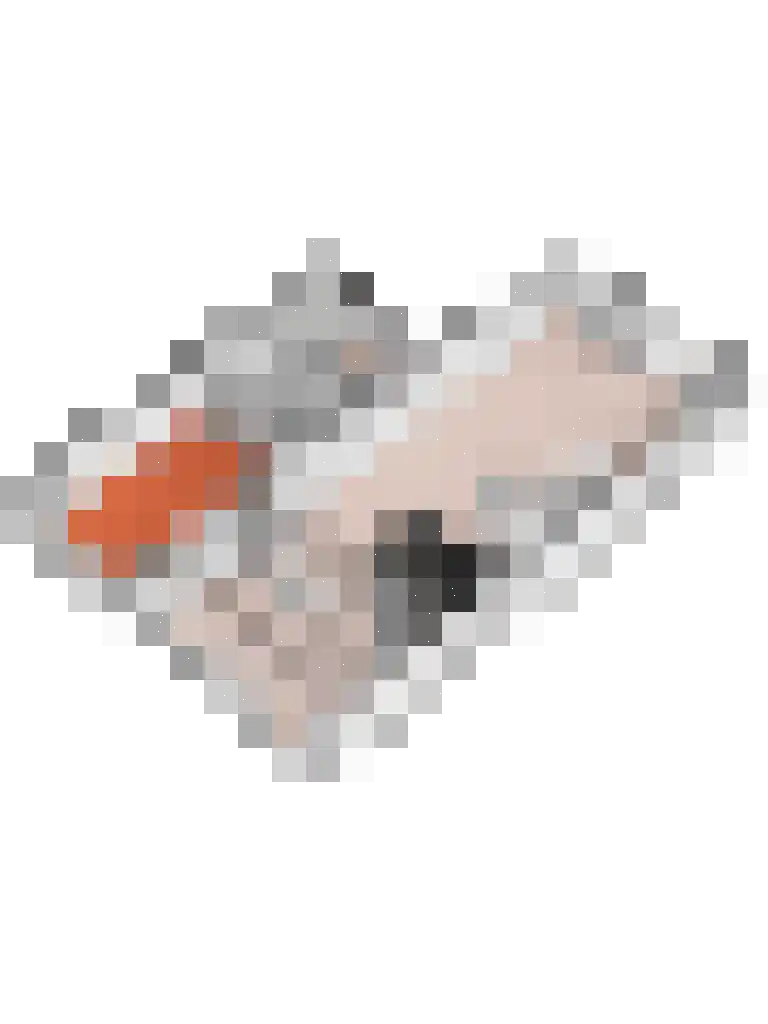 Broodbakkersgilde 1 A Dronten thumbnail 37
