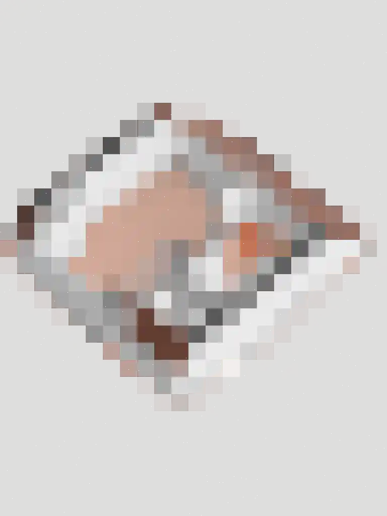 Broodbakkersgilde 1 A Dronten thumbnail 39