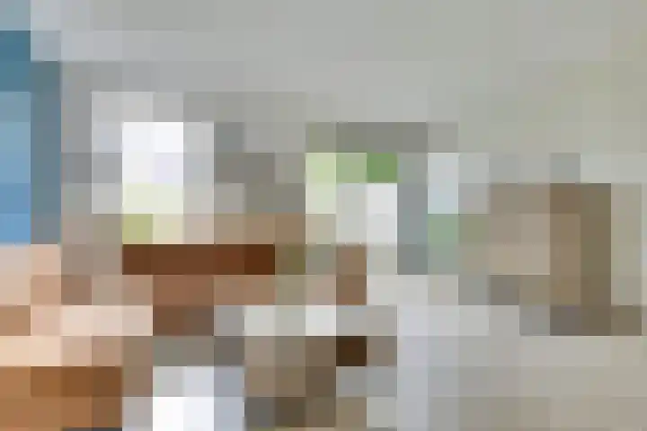 Broodbakkersgilde 15 Dronten thumbnail 11