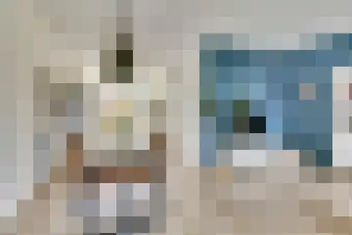 Broodbakkersgilde 15 Dronten thumbnail 17