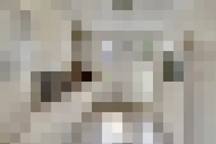 Broodbakkersgilde 15 Dronten thumbnail 18