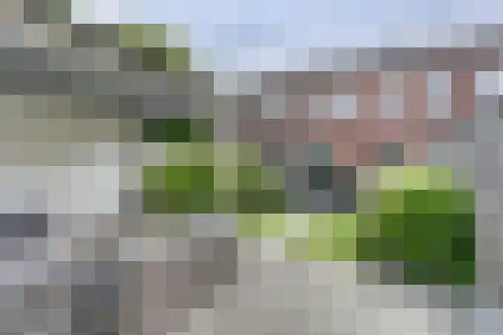 Broodbakkersgilde 15 Dronten foto 2