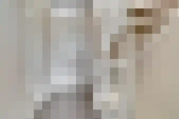Broodbakkersgilde 15 Dronten thumbnail 21