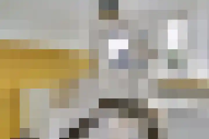 Broodbakkersgilde 15 Dronten thumbnail 25