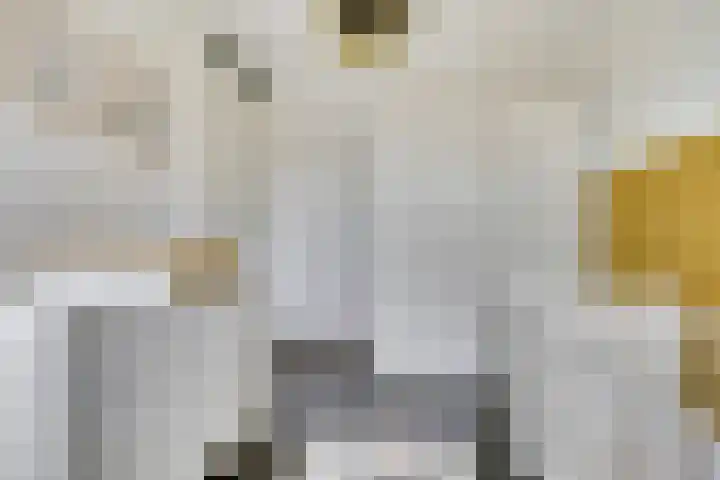 Broodbakkersgilde 15 Dronten thumbnail 26