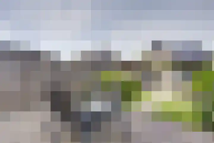 Broodbakkersgilde 15 Dronten thumbnail 32
