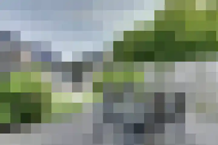 Broodbakkersgilde 15 Dronten thumbnail 33