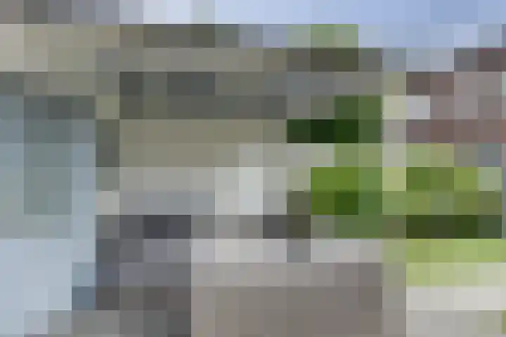 Broodbakkersgilde 15 Dronten thumbnail 34