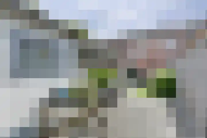 Broodbakkersgilde 15 Dronten thumbnail 36