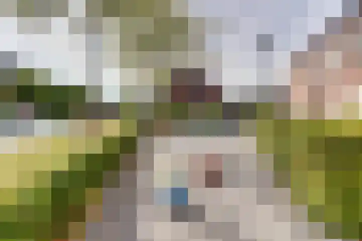 Broodbakkersgilde 15 Dronten thumbnail 39