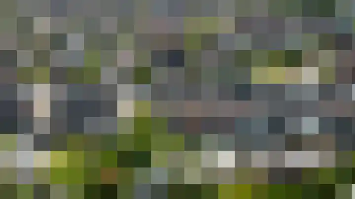 Broodbakkersgilde 15 Dronten thumbnail 40