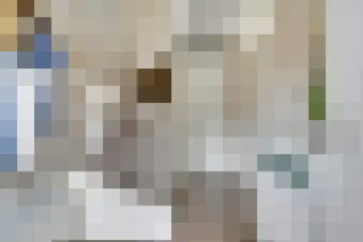 Broodbakkersgilde 15 Dronten thumbnail 6