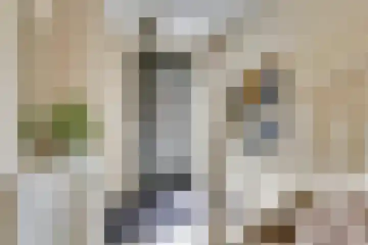 Broodbakkersgilde 15 Dronten thumbnail 7