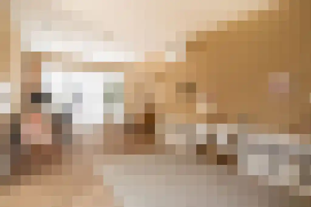 Broodbakkersgilde 2 Dronten thumbnail 12