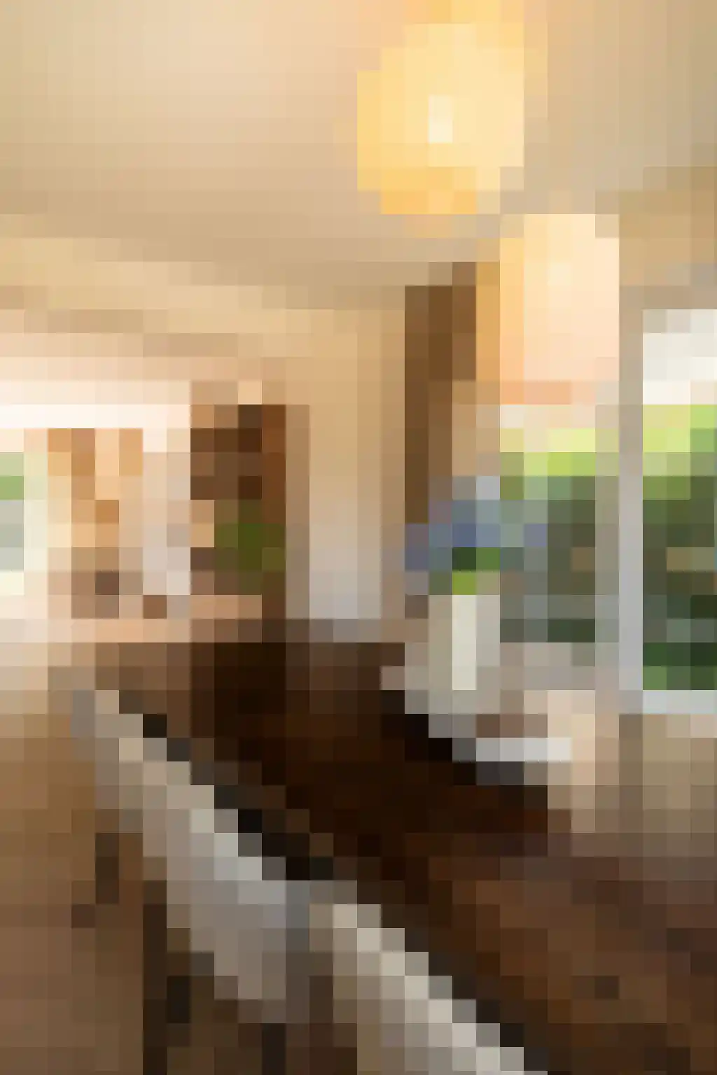 Broodbakkersgilde 2 Dronten thumbnail 15