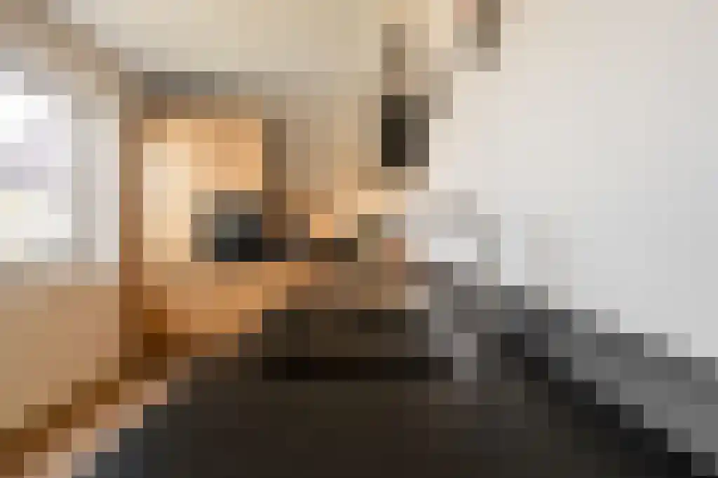 Broodbakkersgilde 2 Dronten thumbnail 17