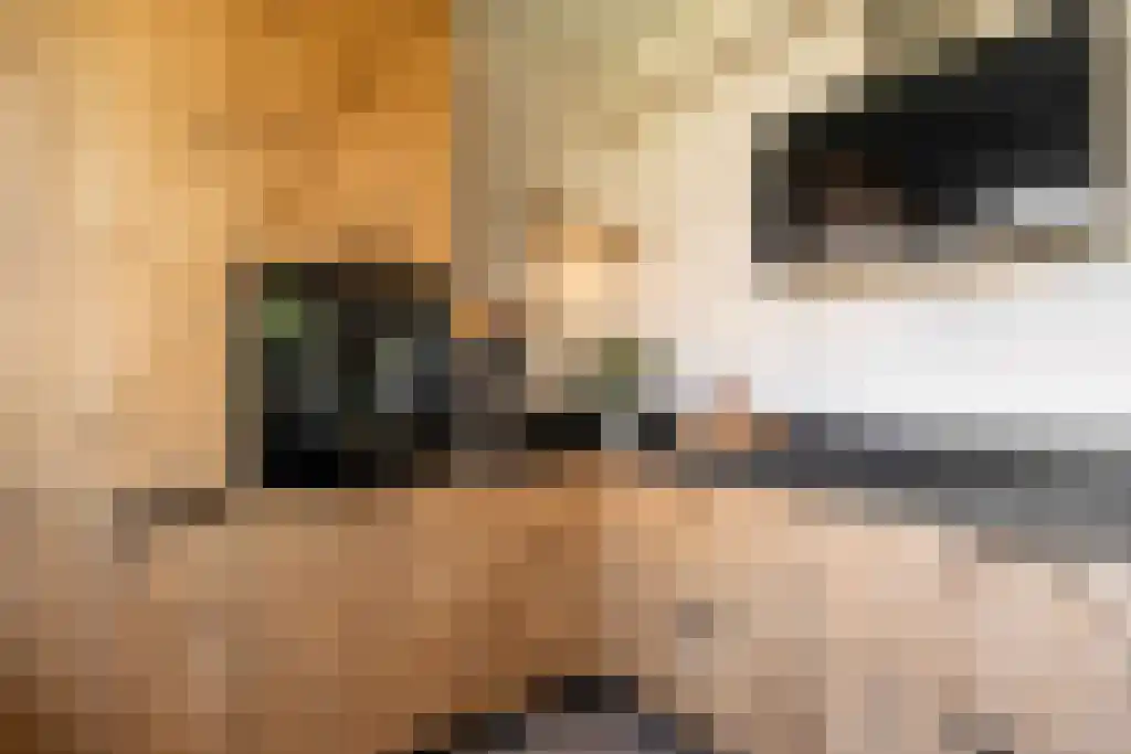 Broodbakkersgilde 2 Dronten thumbnail 18