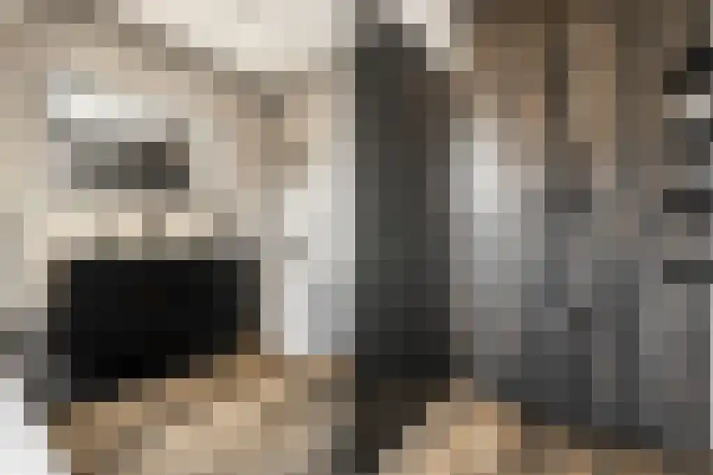 Broodbakkersgilde 2 Dronten thumbnail 34