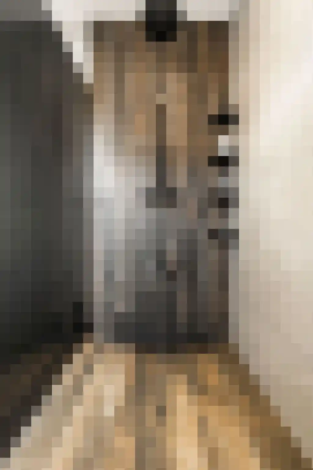 Broodbakkersgilde 2 Dronten thumbnail 36