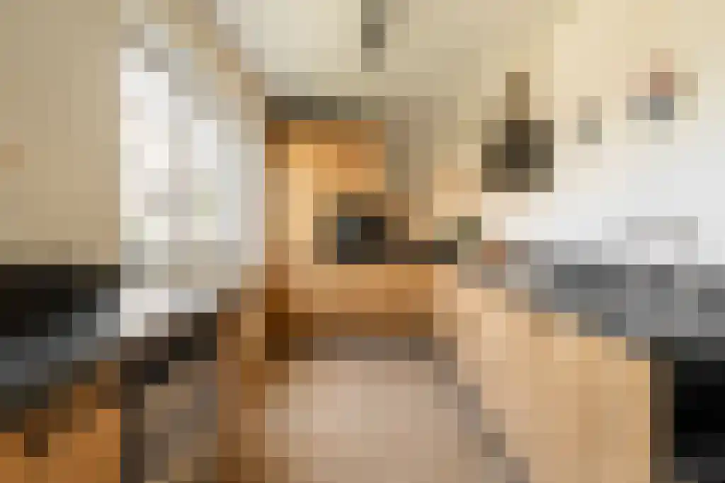 Broodbakkersgilde 2 Dronten thumbnail 4