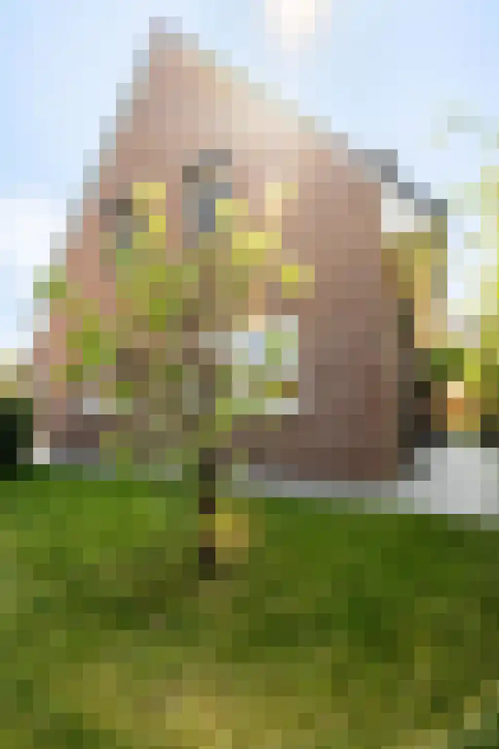 Broodbakkersgilde 2 Dronten thumbnail 44