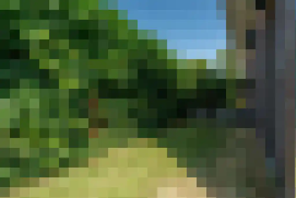 Broodbakkersgilde 2 Dronten thumbnail 45