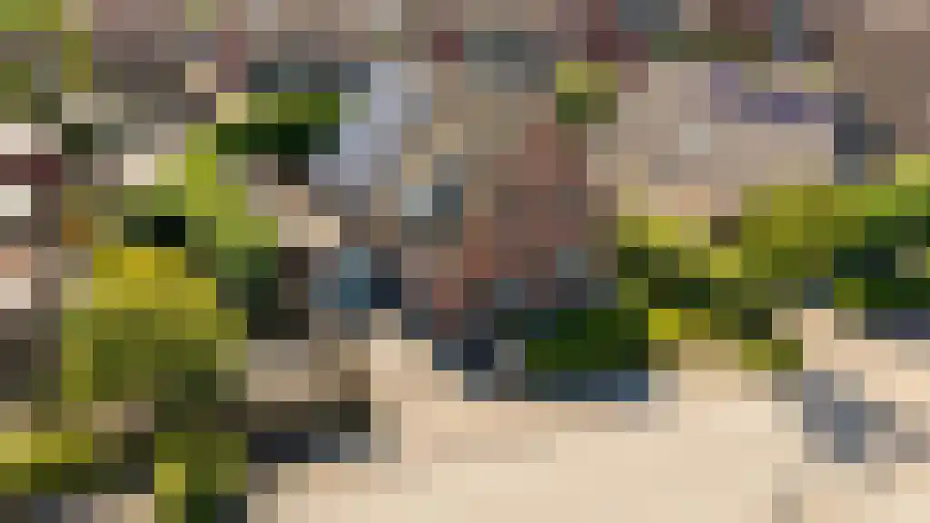 Broodbakkersgilde 2 Dronten thumbnail 5