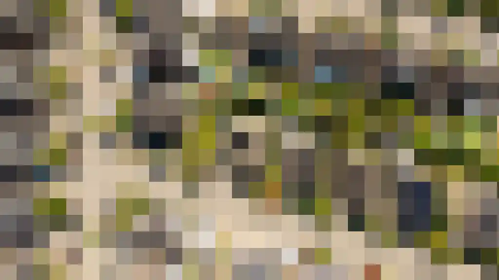 Broodbakkersgilde 2 Dronten thumbnail 6