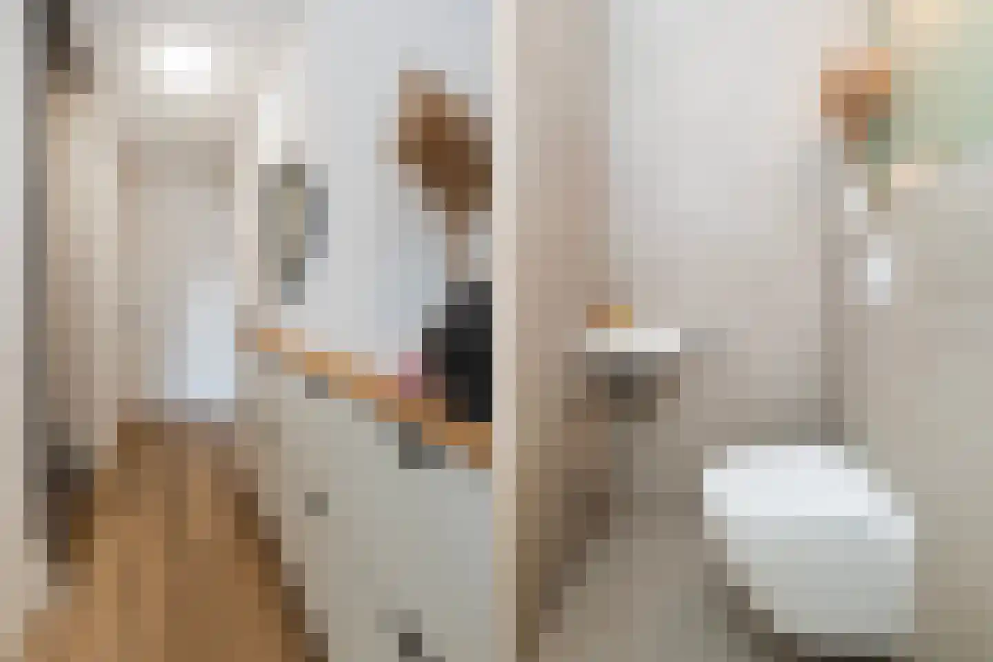 Broodbakkersgilde 31 Dronten thumbnail 12