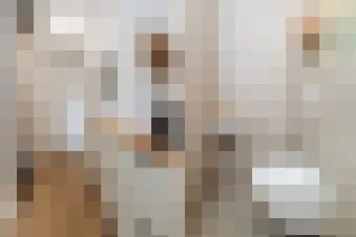 Broodbakkersgilde 31 Dronten thumbnail 12