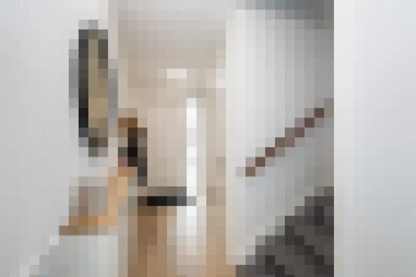 Broodbakkersgilde 31 Dronten thumbnail 13