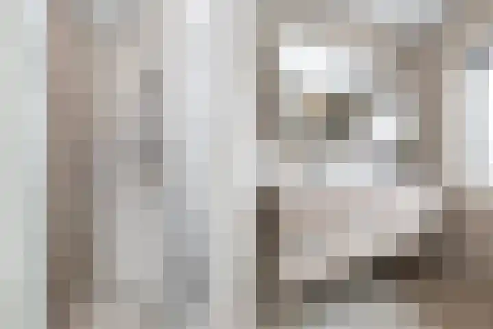 Broodbakkersgilde 31 Dronten thumbnail 20