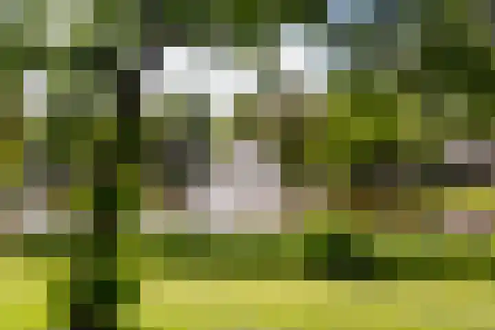 Broodbakkersgilde 31 Dronten thumbnail 34