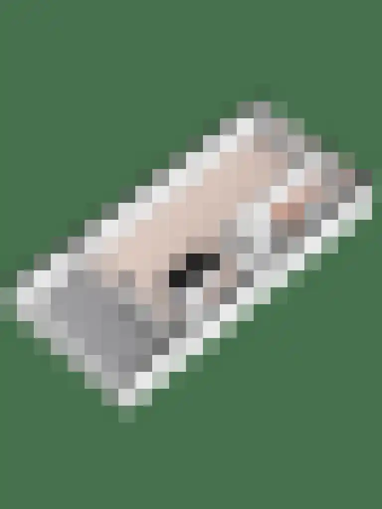 Broodbakkersgilde 31 Dronten thumbnail 35