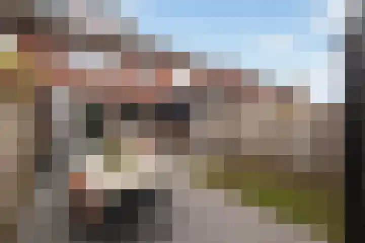 Broodbakkersgilde 31 Dronten thumbnail 6