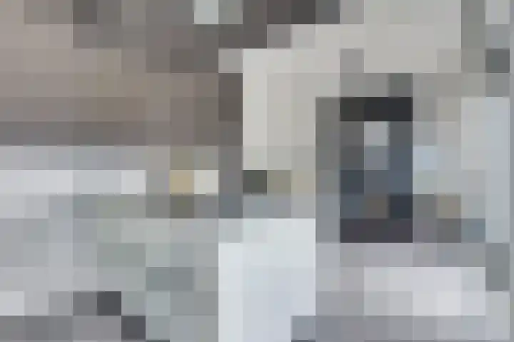 Broodbakkersgilde 33 Dronten thumbnail 16
