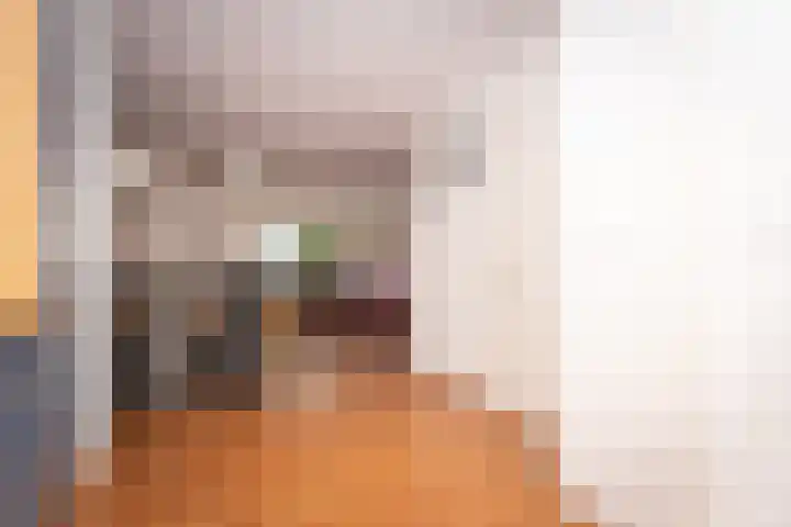 Broodbakkersgilde 33 Dronten foto 2