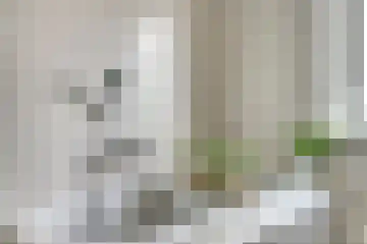 Broodbakkersgilde 33 Dronten thumbnail 27