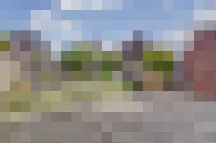 Broodbakkersgilde 33 Dronten thumbnail 34