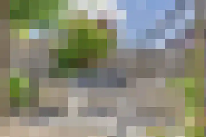 Broodbakkersgilde 33 Dronten thumbnail 37