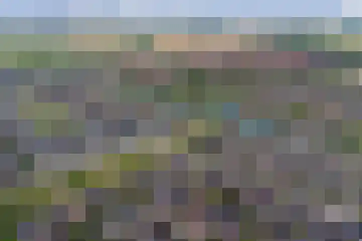 Broodbakkersgilde 33 Dronten thumbnail 40