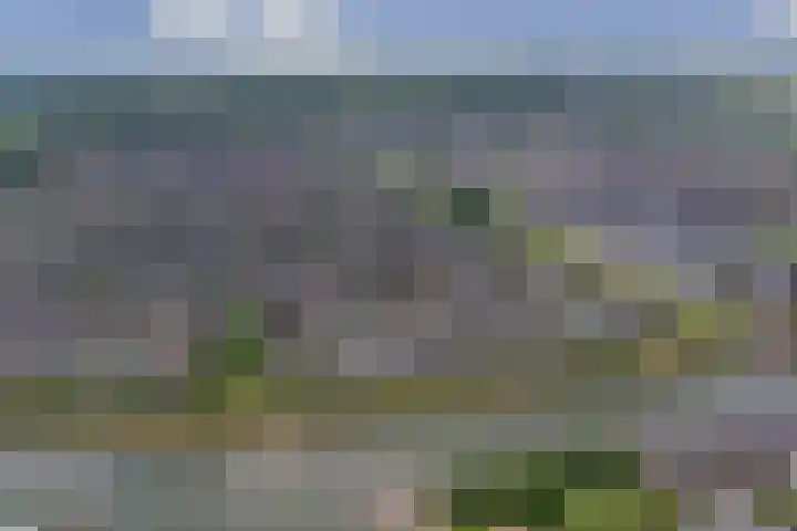 Broodbakkersgilde 33 Dronten thumbnail 41