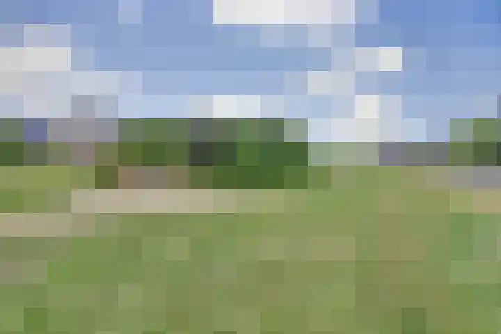 Broodbakkersgilde 33 Dronten thumbnail 45