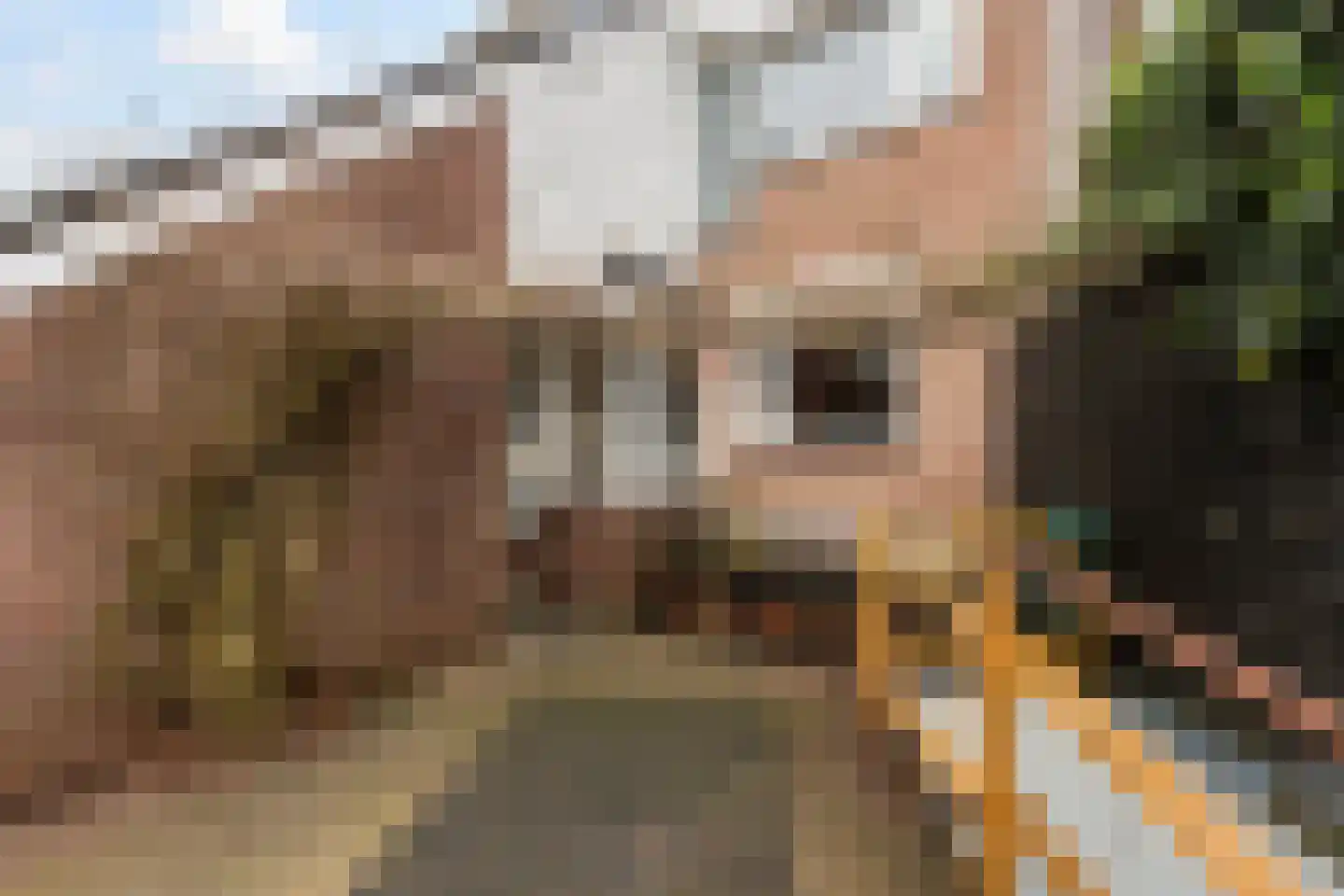 Broodbakkersgilde 33 Dronten thumbnail 53