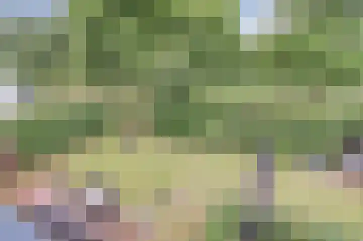 Broodbakkersgilde 33 Dronten thumbnail 55