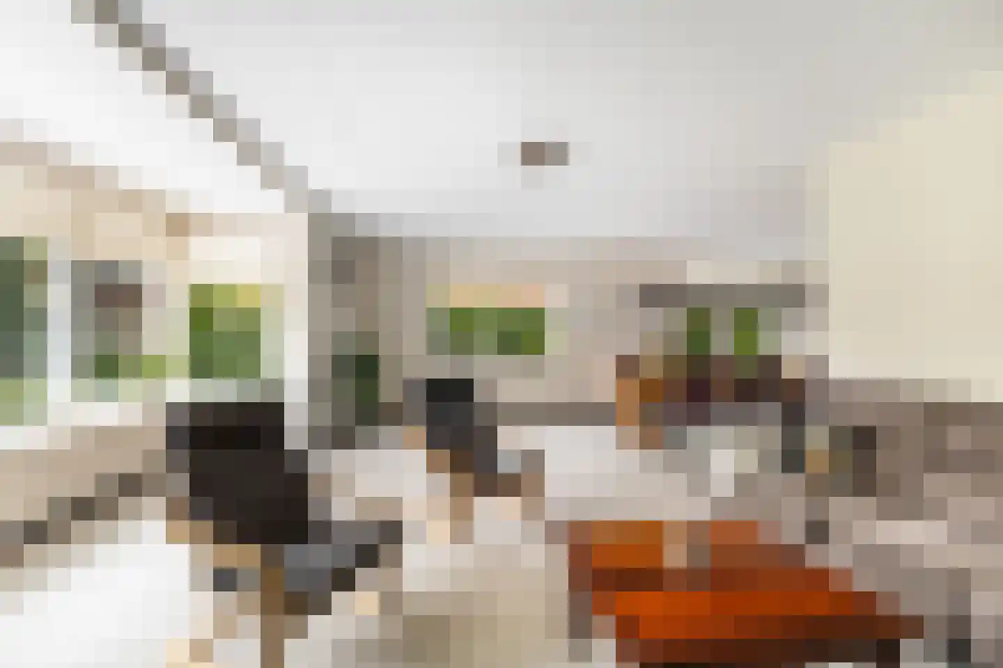 Broodbakkersgilde 4 Dronten thumbnail 10